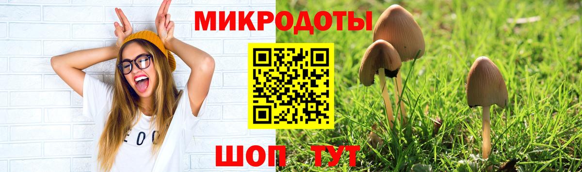 Галлюциногенные грибы Psilocybe  Вход с VPN  Искитим 